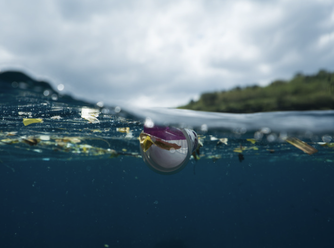 single use plastics