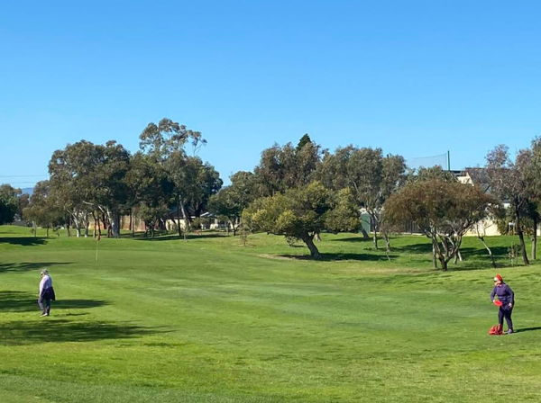 Disc Golf