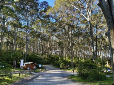 Quiet Seaside Campground Hosts An Aussie Music Icon