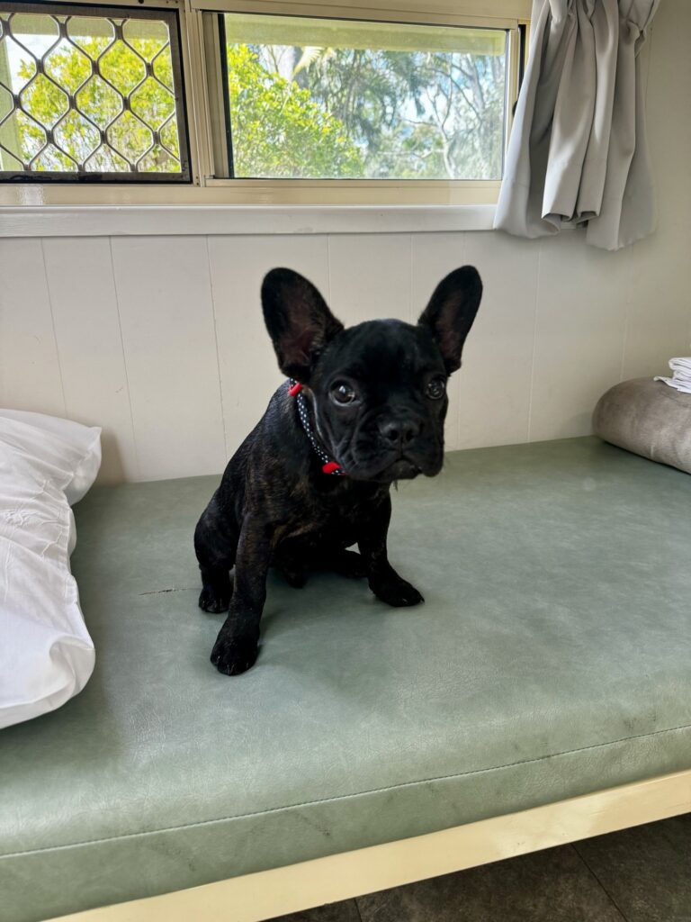 Auto Draft Auto Draft