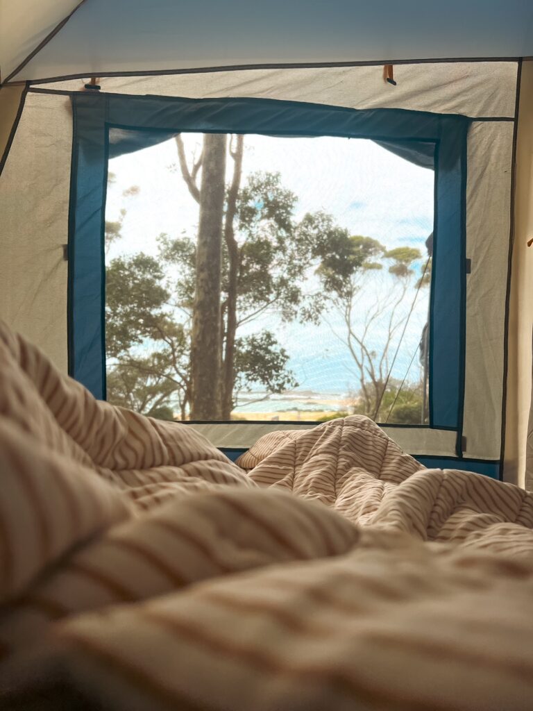 796ef719 73f7 47fb Af01 442722616c8e 796ef719 73f7 47fb Af01 442722616c8e