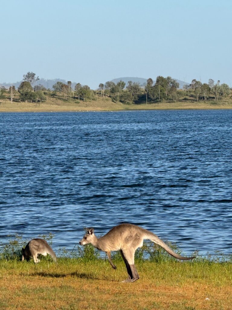 8a8b4c92 58f4 417c Bbd0 0c2c27528f3d 8a8b4c92 58f4 417c Bbd0 0c2c27528f3d