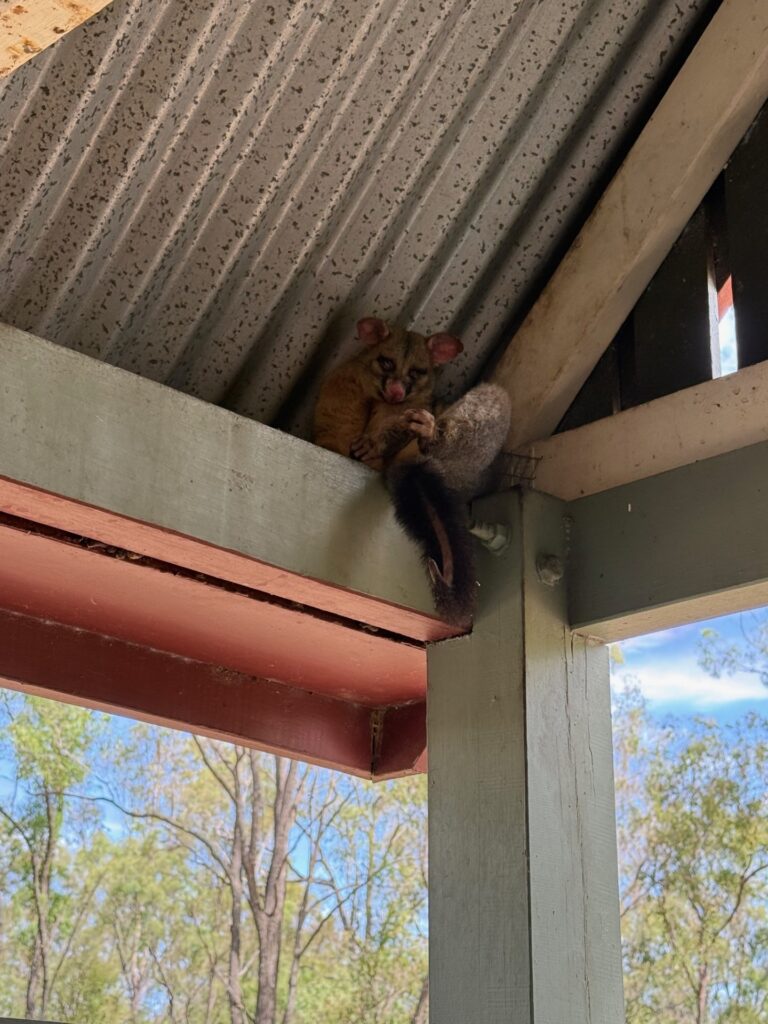 Bed000c1 9439 4eb5 Bb72 Ddbad3503c36 Bed000c1 9439 4eb5 Bb72 Ddbad3503c36