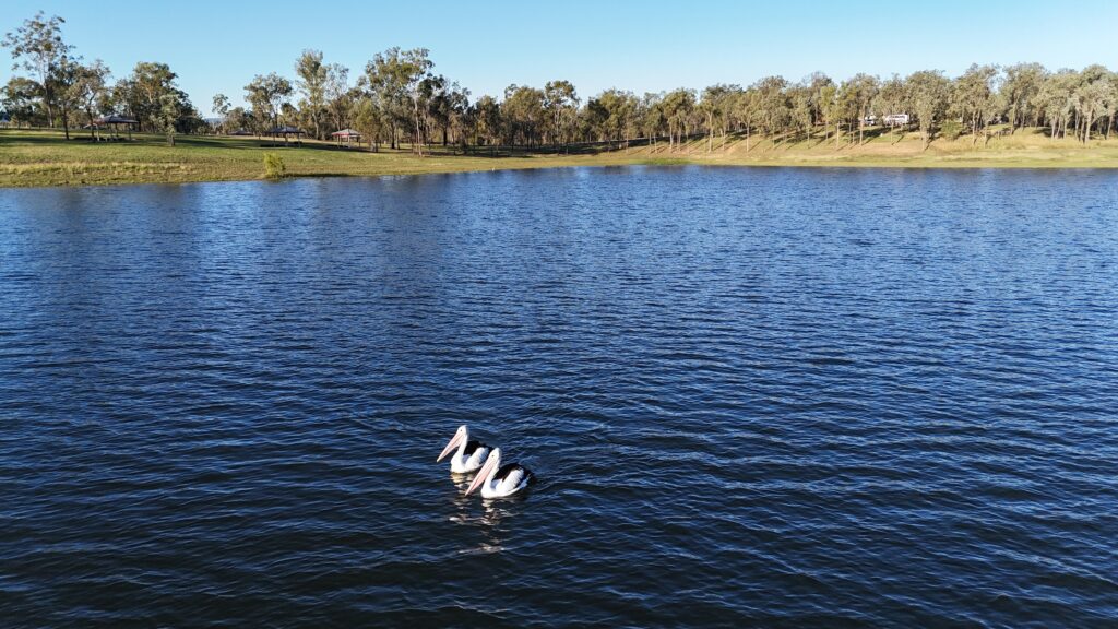 Image 59 Kaytee Frost Default