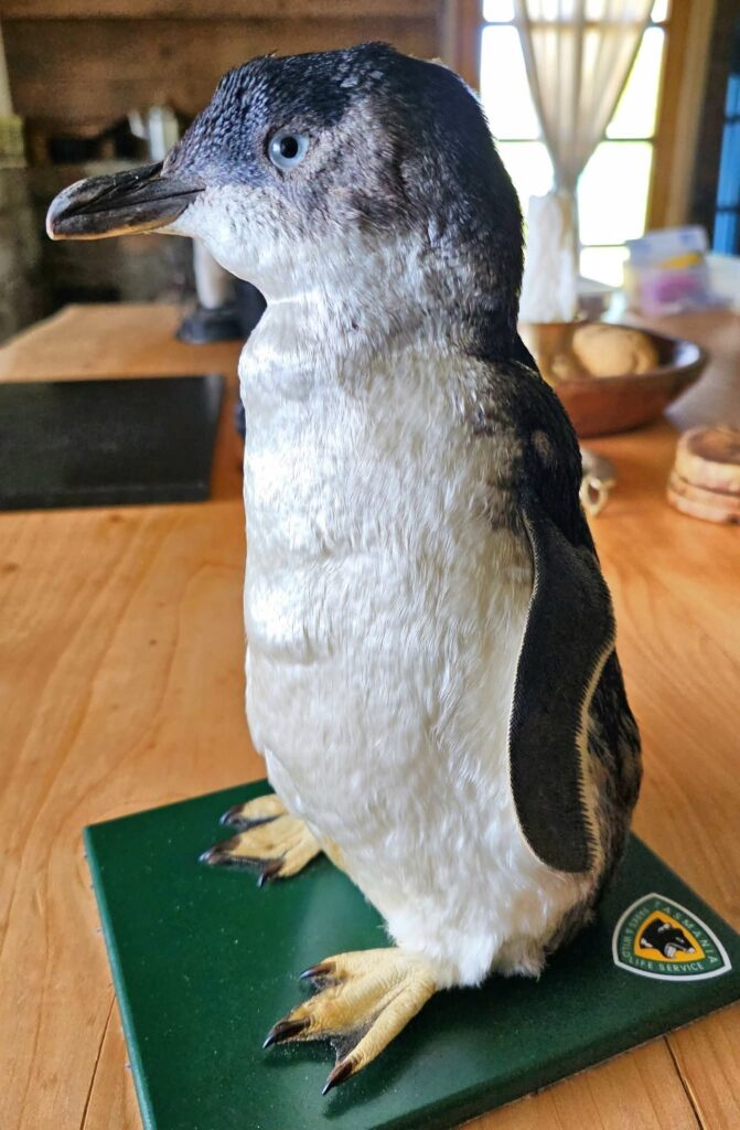 Penguin 1