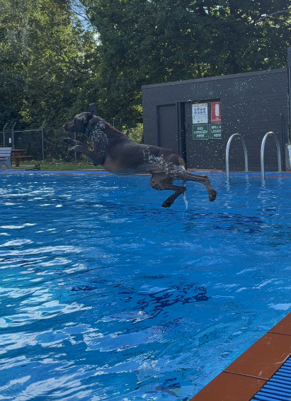 Screenshot 2026 04 21 At 10 38 39 Am