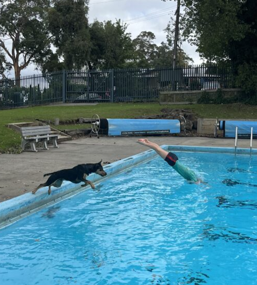 Screenshot 2026 04 21 At 11 01 03 Am