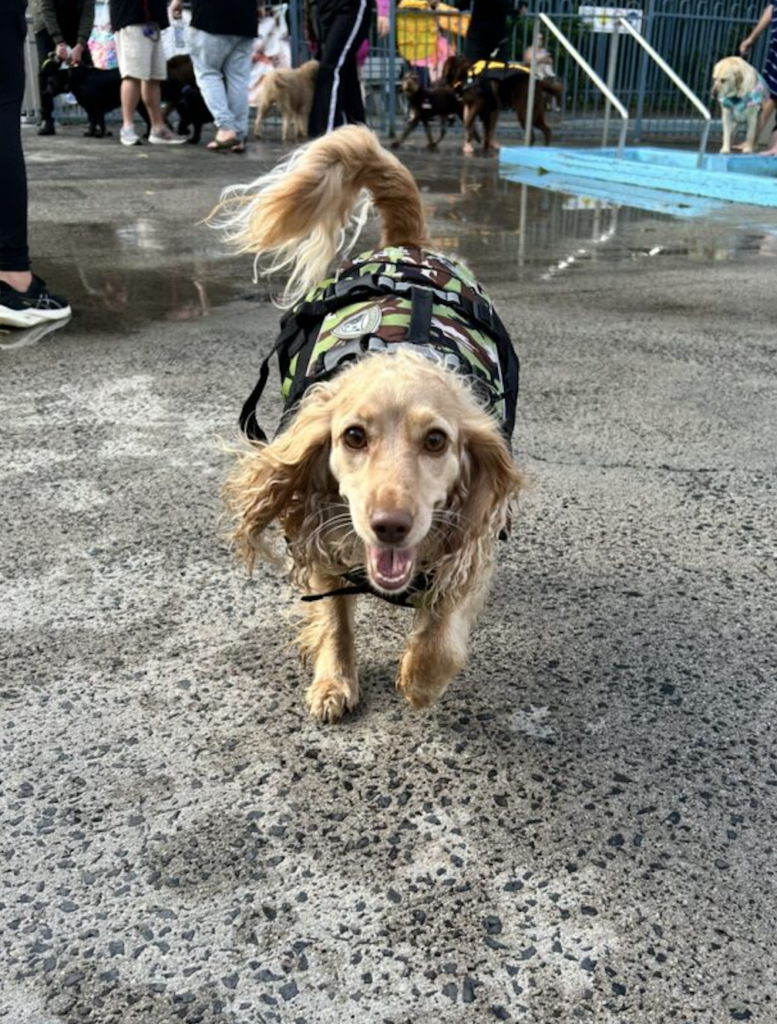 Screenshot 2026 04 21 At 11 05 47 Am