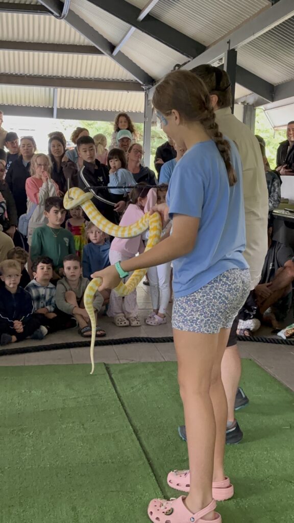 Sydney Easter Reptiles Image 10