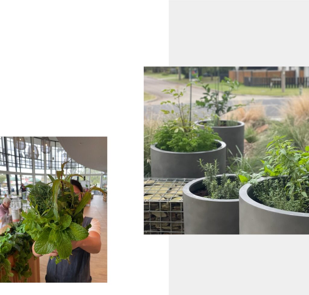 Small Changes lead To big Impact at mornington Peninsula’s Elements Eatery with The reduction Of over Four Tonnes Of Waste