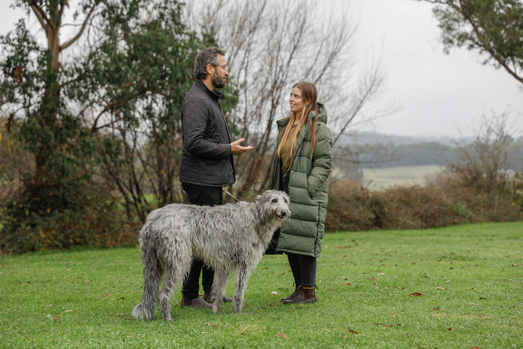 Travelling With Pets? Bpro Expands 22 Pet-friendly Stays Across Australia And New Zealand