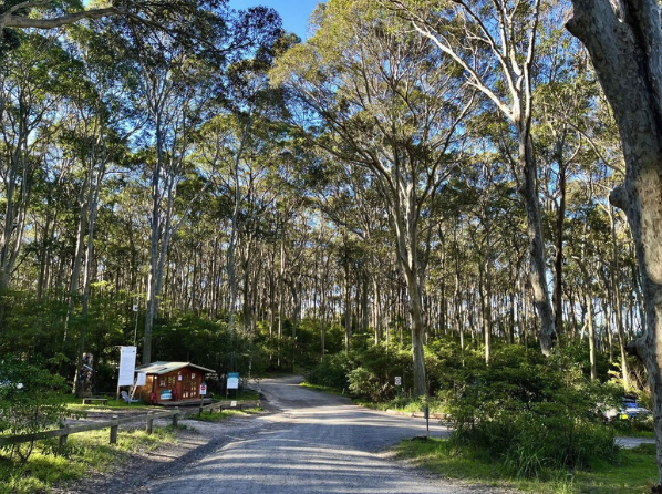 Quiet seaside campground hosts an Aussie music icon