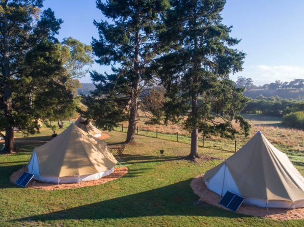 Why Forrest Holiday Park should be on your must-visit Melbourne travel list